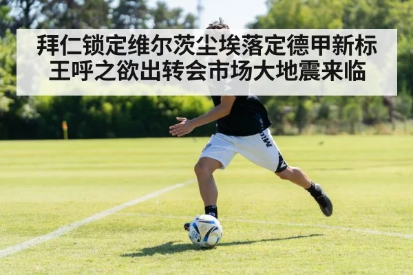 拜仁锁定维尔茨尘埃落定德甲新标王呼之欲出转会市场大地震来临